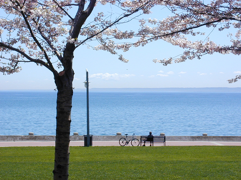 tarvel for health travel for mental health take a break,